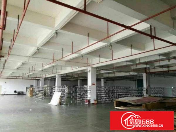 17元租龙岗高速出口原房东红独院厂房12800大小