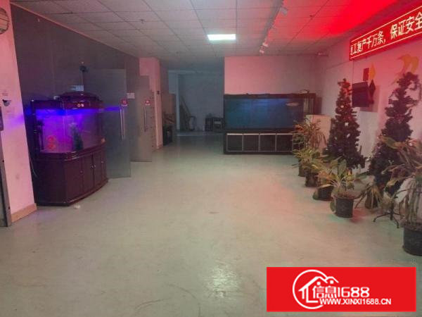 凤岗竹塘厂房出租1600平方带电梯办公司装修