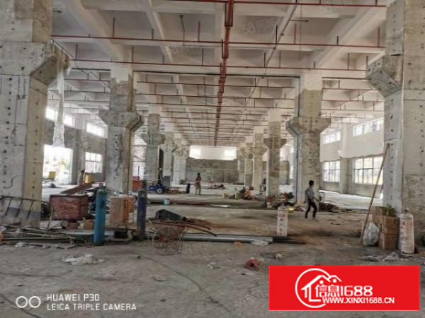 原房东一楼9米高带牛腿独门独院厂房出租工业用地环评包过