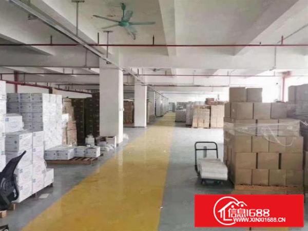 桥头山和村精装修厂房转租1100平无需转租费