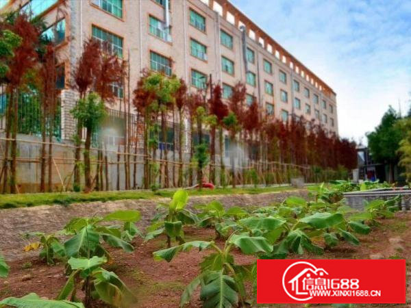 坑梓新出2750平米一二楼有红本厂房出租