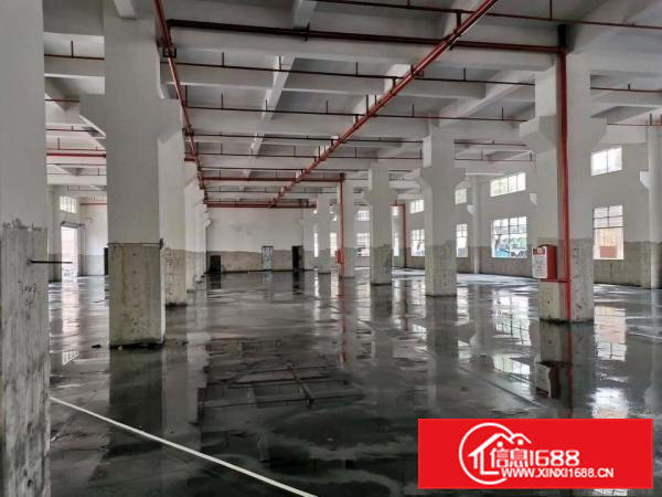 现成地坪漆地面工业园招租总面积13万平米饭堂宿舍配套齐