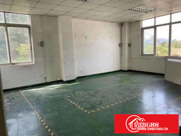 观澜福民龙观快线边上新出带装修560平方出租