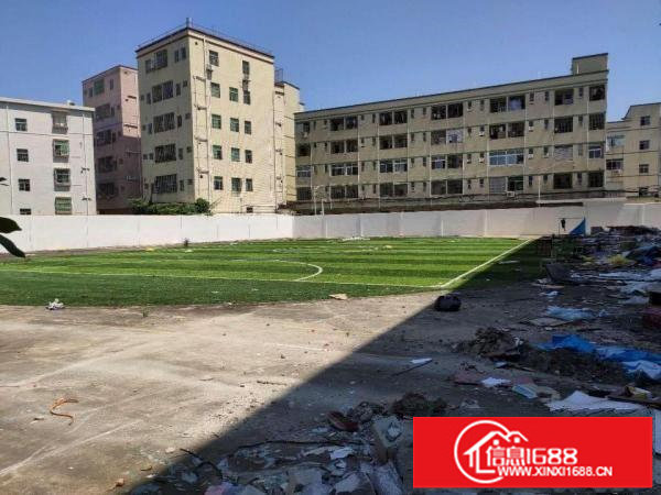 坪山中心主干道第一排独栋可做酒店厂房出租4层