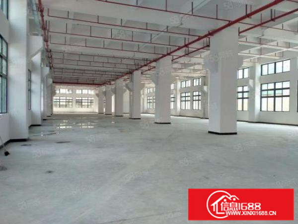 寮步原房东一楼3000平方红本厂房出租重型工业可办环评可分租