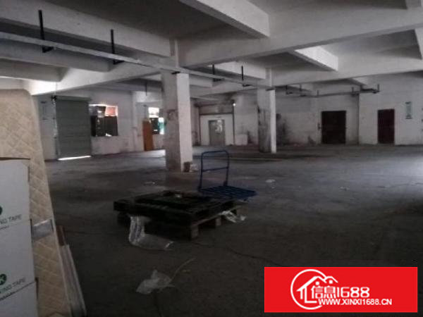 平湖标准厂房一楼实际面积400平一手房东无公摊