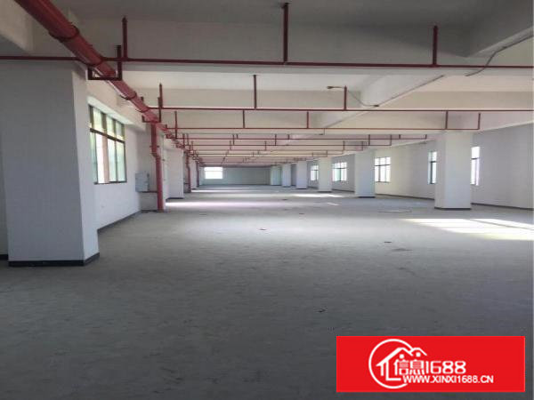 塘厦原房东小独院2700平出租16元