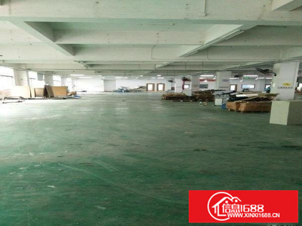 龙岗龙西工业区独院厂房5000平米可分租