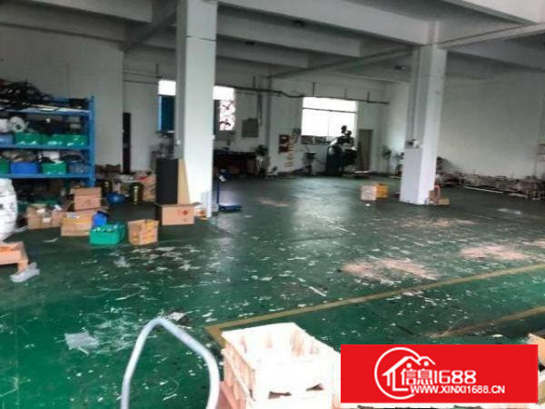 坪山东纵路边新出厂房一楼带装修850平米交通便利