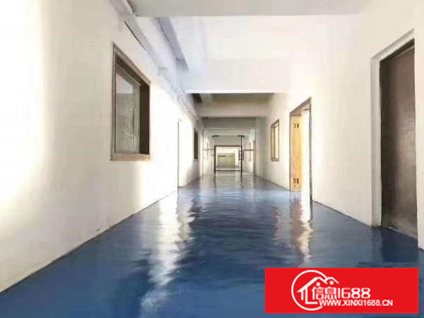 横岗沙荷路旁新出带精装修3000平独门独院厂房出租