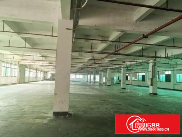 清溪原房东厂房出租，可分租