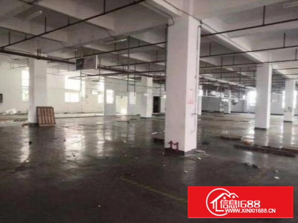 沙井共和独院厂房9000平方出租