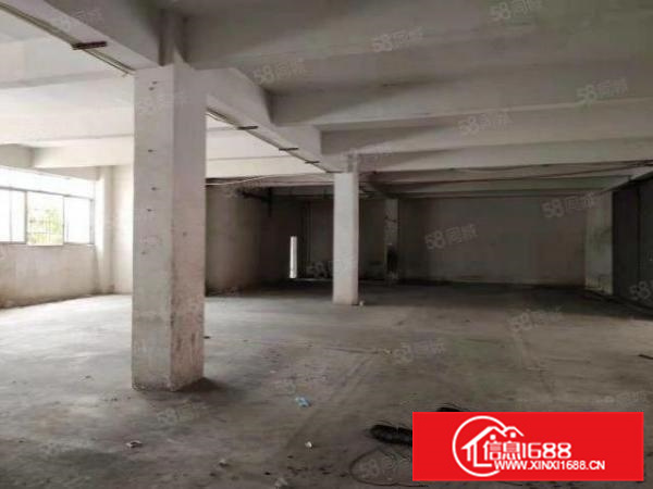 勒流港口路450方标准混泥土结构厂房，可办环评，港口路边