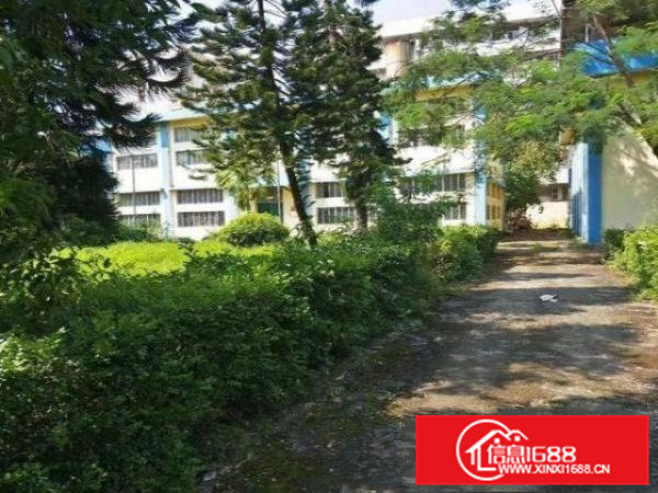 独院厂房出租靠近东深二路面积13450平米