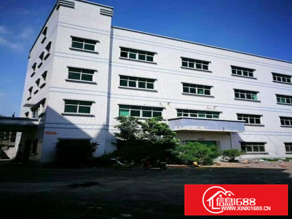 花园式独院6000平方厂房单层1000