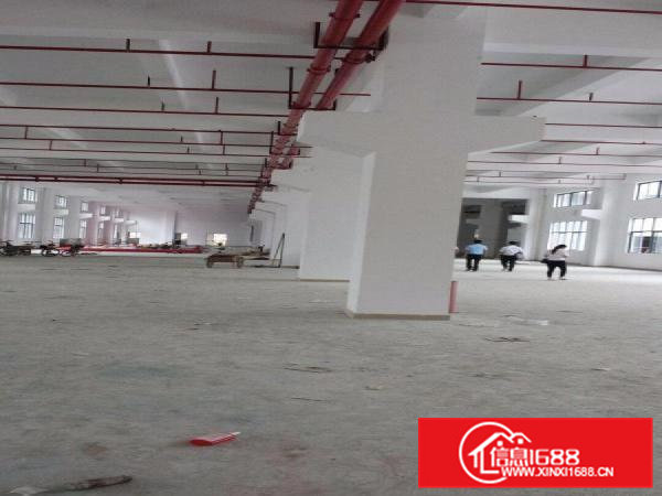 凤岗全新大型独院厂房出租39500平方近深圳平湖