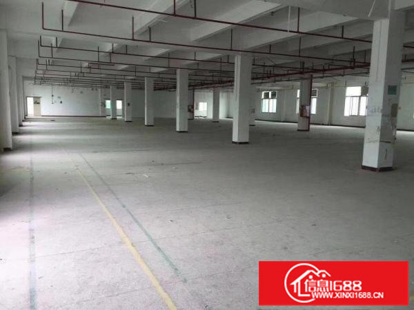 坪地坪西新出楼上厂房2000平米大小可分租