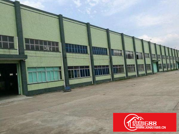 10米高一楼800平厂房出租300平方起分租