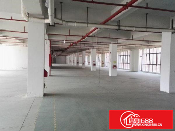 坪山坑梓908平米高5.8米标准厂房火爆招租