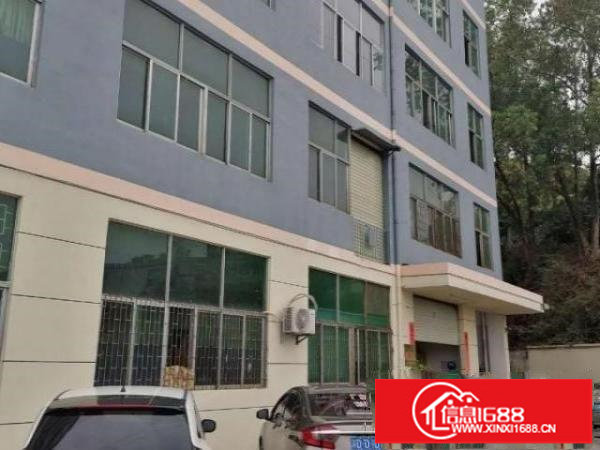 横岗四联1150平方带装修厂房出租无转让费