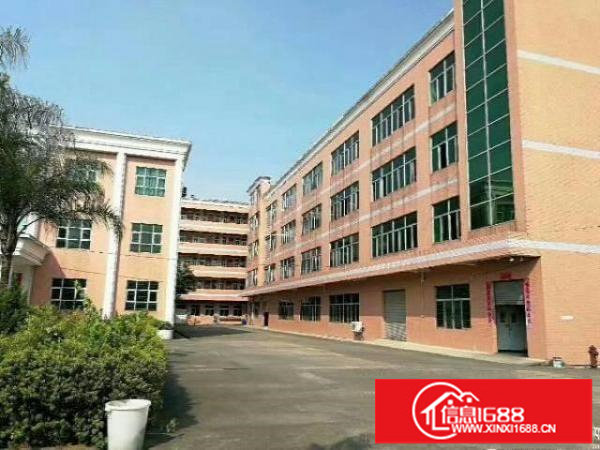 原房东厂房新空1850平精装修办公室没有公摊