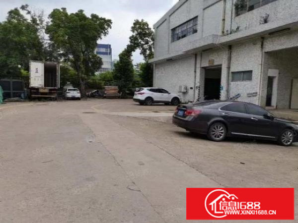 深圳市龙岗区平湖新木村一楼厂房带冷库招租面积2500平米