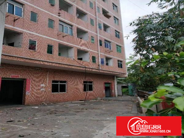 凤岗雁田小独院厂房4600平方可分租