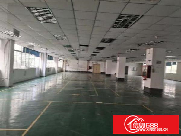 布吉李朗原房东厂房带红本办环评，可申请政府补贴