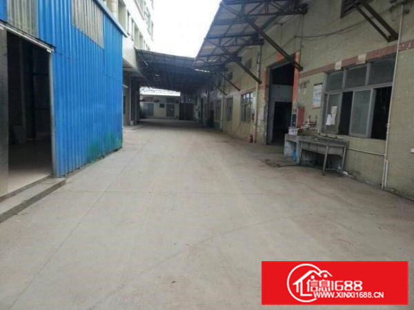 常平镇环城路边单一层3000平方对我招租