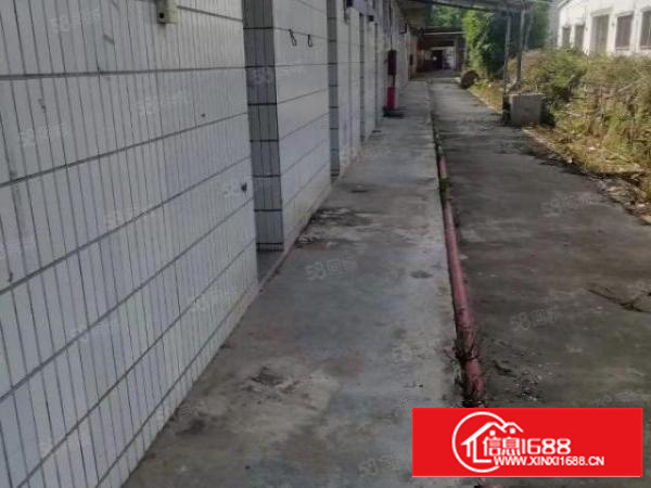 石排独门独院单一层厂房出租证件齐全324国道边空地超大