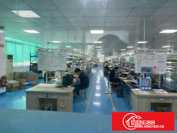 常平原房东可办环评独院厂房出租