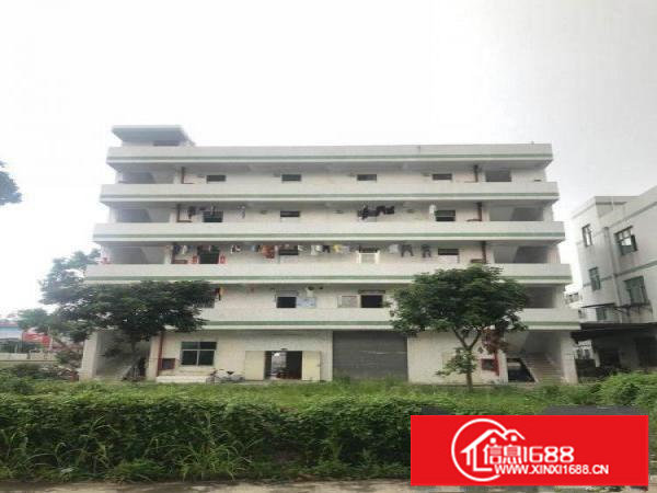 平湖新木路56号厂房1150平米