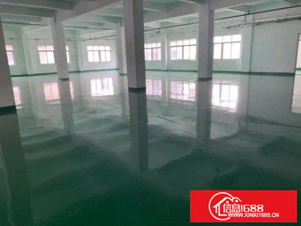 桥头新出独门独院11200平米大小可分租