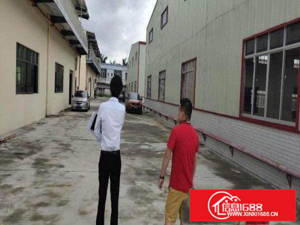 园洲镇可以抽粒破碎废品打包家具等行业单一层钢结构招租