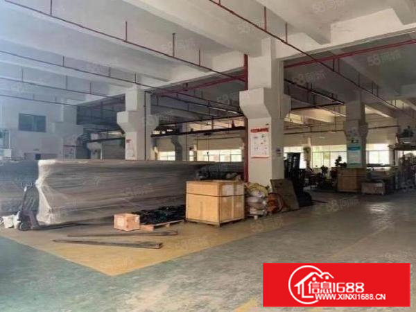 桥头原房东7米高一楼厂房1500平方，消防喷淋，主线到位