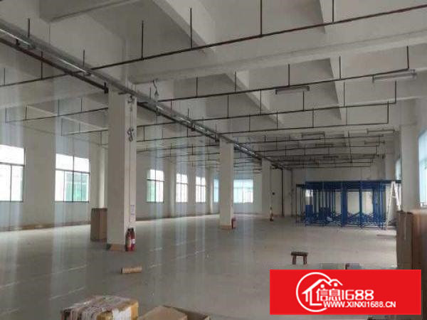 大朗镇高速出口处独院带房产证12800平方火热招租