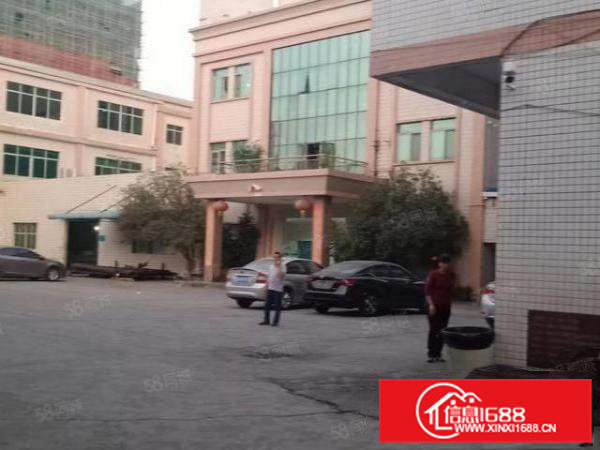 精装修一楼厂房1000平方