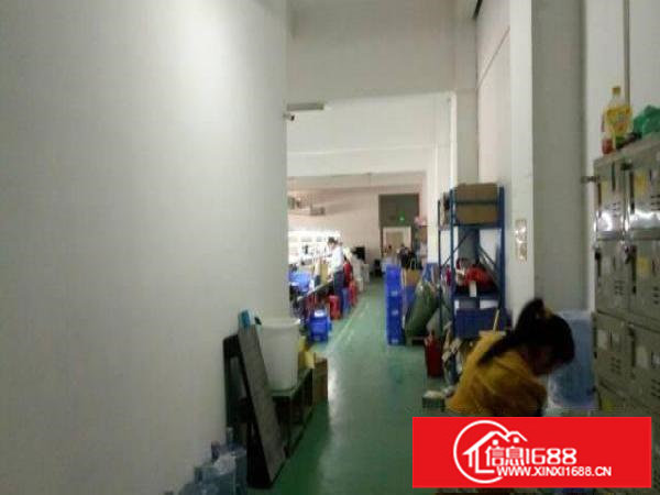 龙岗区宝龙新出厂房1400米招租