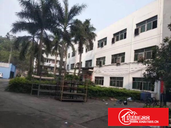 免押金大岭山镇工业区出租二楼500平厂房有办公室可分租