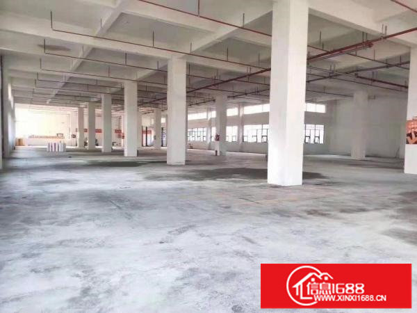 龙华电商园一楼厂房2000平米出租形象好空地大