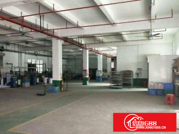 容桂幸福社区1楼700平方厂房出租