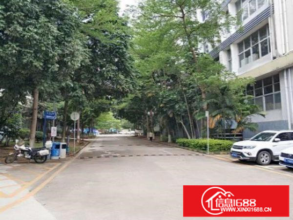 横岗新出原房东楼上2400平全新豪华装修厂房出租，超大空地