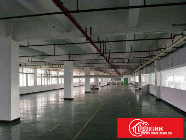 大亚湾西区标准厂房出租一楼800平
