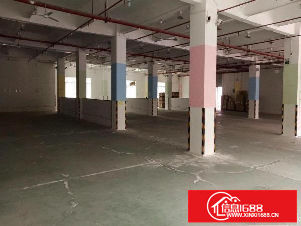 坂田高速路口新出一楼2000平出租可分带卸货平台空地大