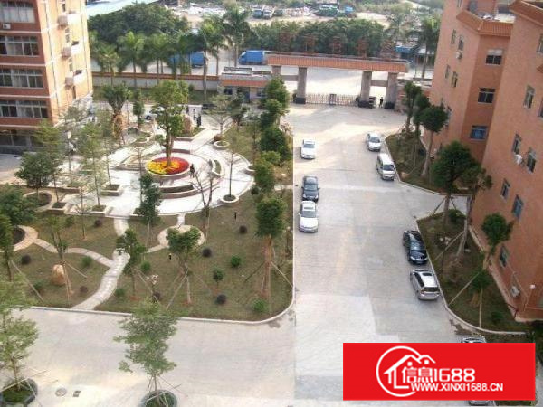 带装修哇！哇！哇！每平10元带装修仲恺惠