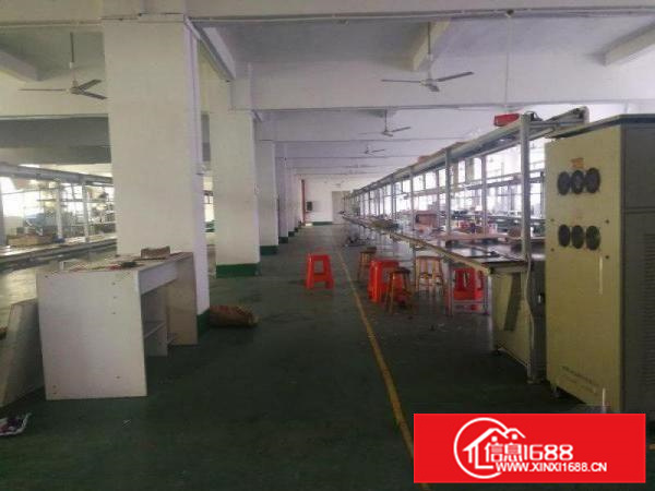 惠阳新圩一楼标准楼房500平方米