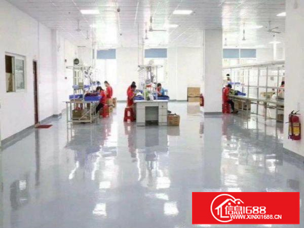 现成办公室！罗阳田牌出租楼上1030平豪华装修厂房带地坪漆