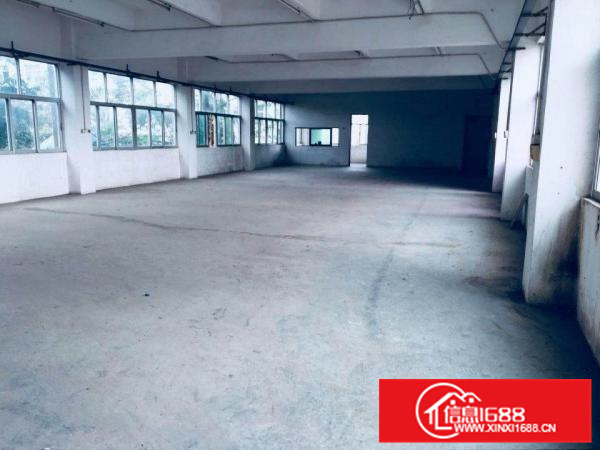 惠阳独院厂房1000平米临近高速空地超大