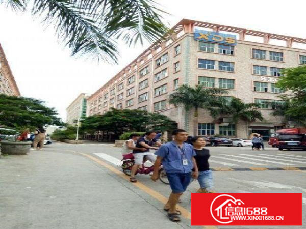 坪山区坑梓龙田社区6米高带牛角厂房2700平米