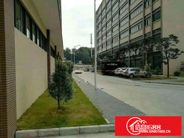 横岗深圳横岗地铁附近厂房200平米